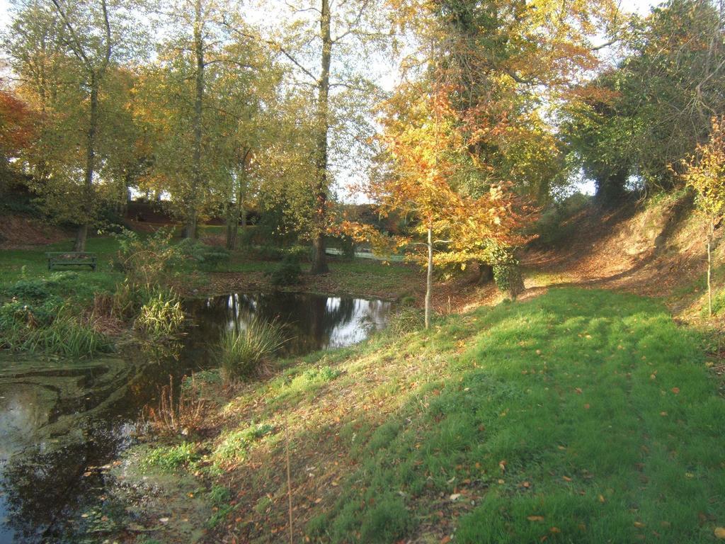 Coolanowle Self Catering Holiday Accommodation Carlow Exteriör bild