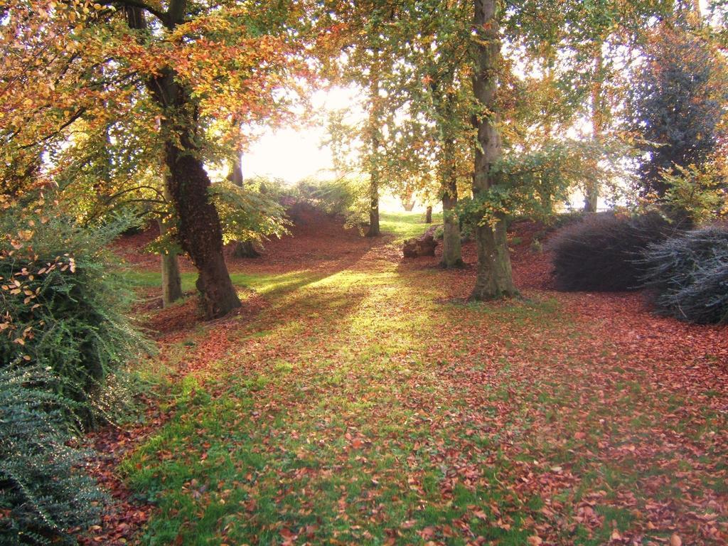 Coolanowle Self Catering Holiday Accommodation Carlow Exteriör bild