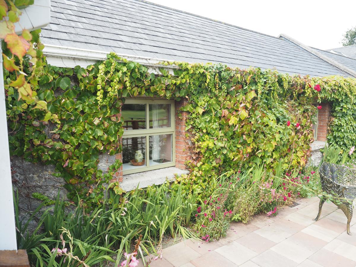 Coolanowle Self Catering Holiday Accommodation Carlow Exteriör bild